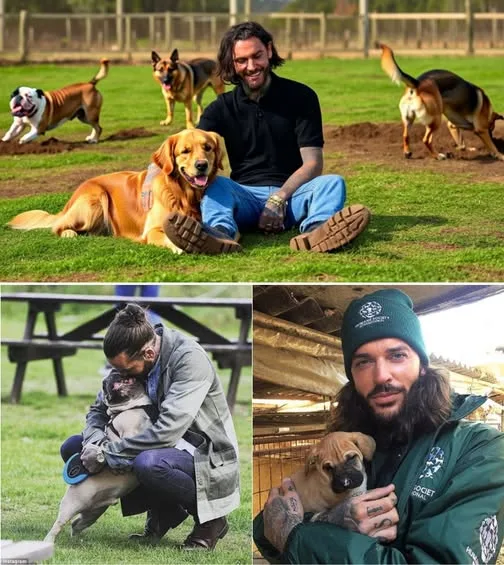Pete Wicks’ extraordinary generosity has brought 13 abandoned pups from the brink of death to a stunning £5M farm where they can live freely and safely. But one haunting sentence from Pete completely shifts the tone of this rescue, revealing an unexpected truth that no one could have anticipated. 584991993 122112873477039691 1173807473764036030 n