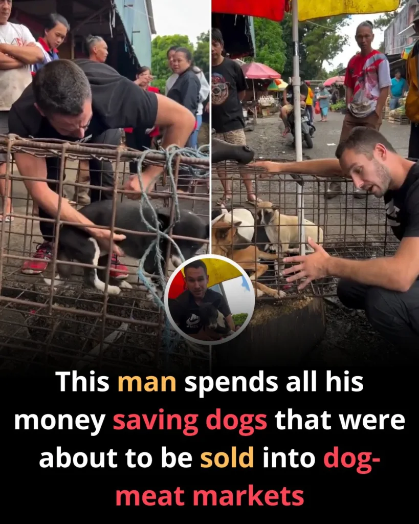 587841377 122186206442529881 7198168739209914219 n